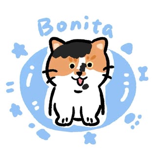 Bonita Studio