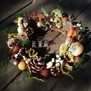 花青樹種子手作