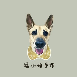 福小姐手作寵物服飾